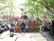 丁香下的一碗抹茶